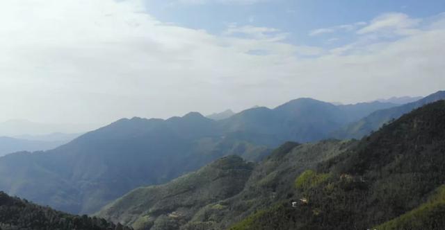 食尚巖味 江山鎮(zhèn)黑山羊，暖冬滋補(bǔ)龍巖新羅的味蕾之旅