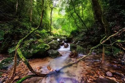 毛竹“撩”出來的淘寶村——探訪龍巖市新羅區小池鎮培斜村